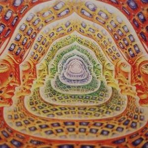 Meet your Posher, Filjan